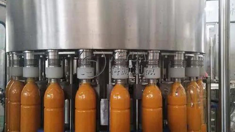 中药材冻干机：揭秘其定制化生产的关键要素**